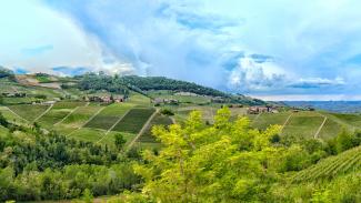 Rocca Giovanni | la Cantina a Monforte d'Alba