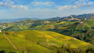 Rocca Giovanni | La Cantina a Monforte d'Alba